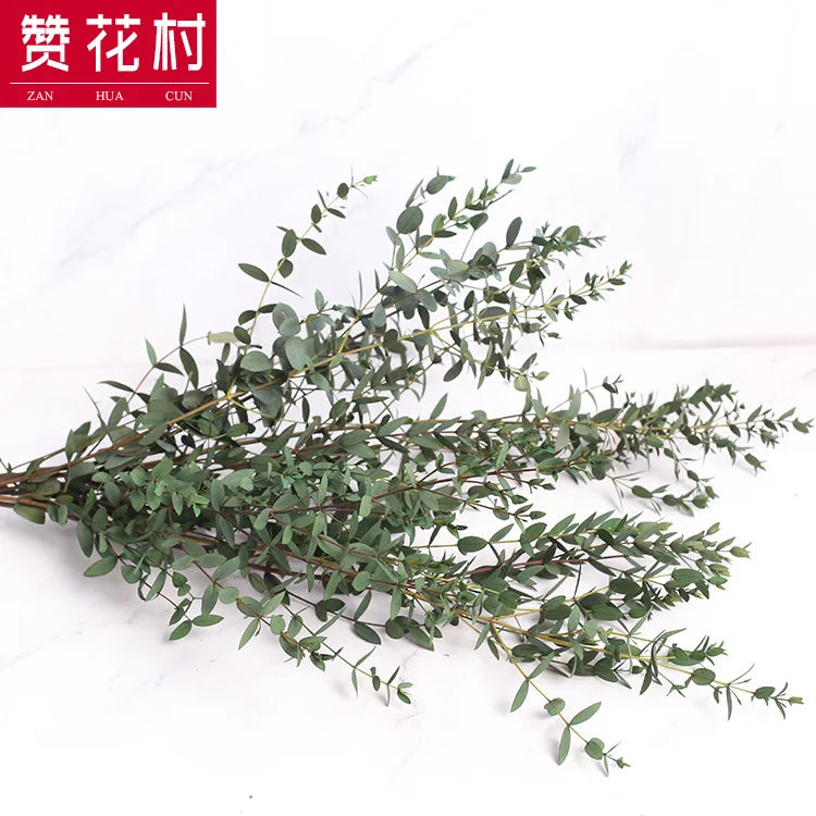 Fine-leaf Preserved Eucalyptus Leaf Dried Flower Bouquet Wreath DIY Material Wedding Decoration