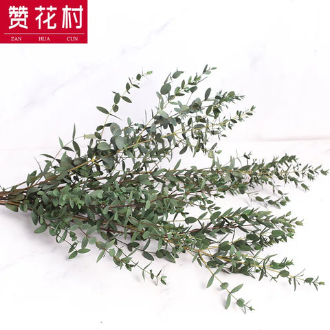 Fine-leaf Preserved Eucalyptus Leaf Dried Flower Bouquet Wreath DIY Material Wedding Decoration
