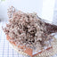 Preserved Crystal Grass Baby's Breath Dried Flowers for Home Arrangement & Wedding DIY Bouquet Baby Breath Flower Artificial