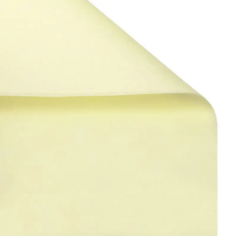 Single-Sided Coated PE Lining Paper Eco-Friendly & Water-proof for Clothing Packaging and Gift Wrapping Snow Pear Tissue