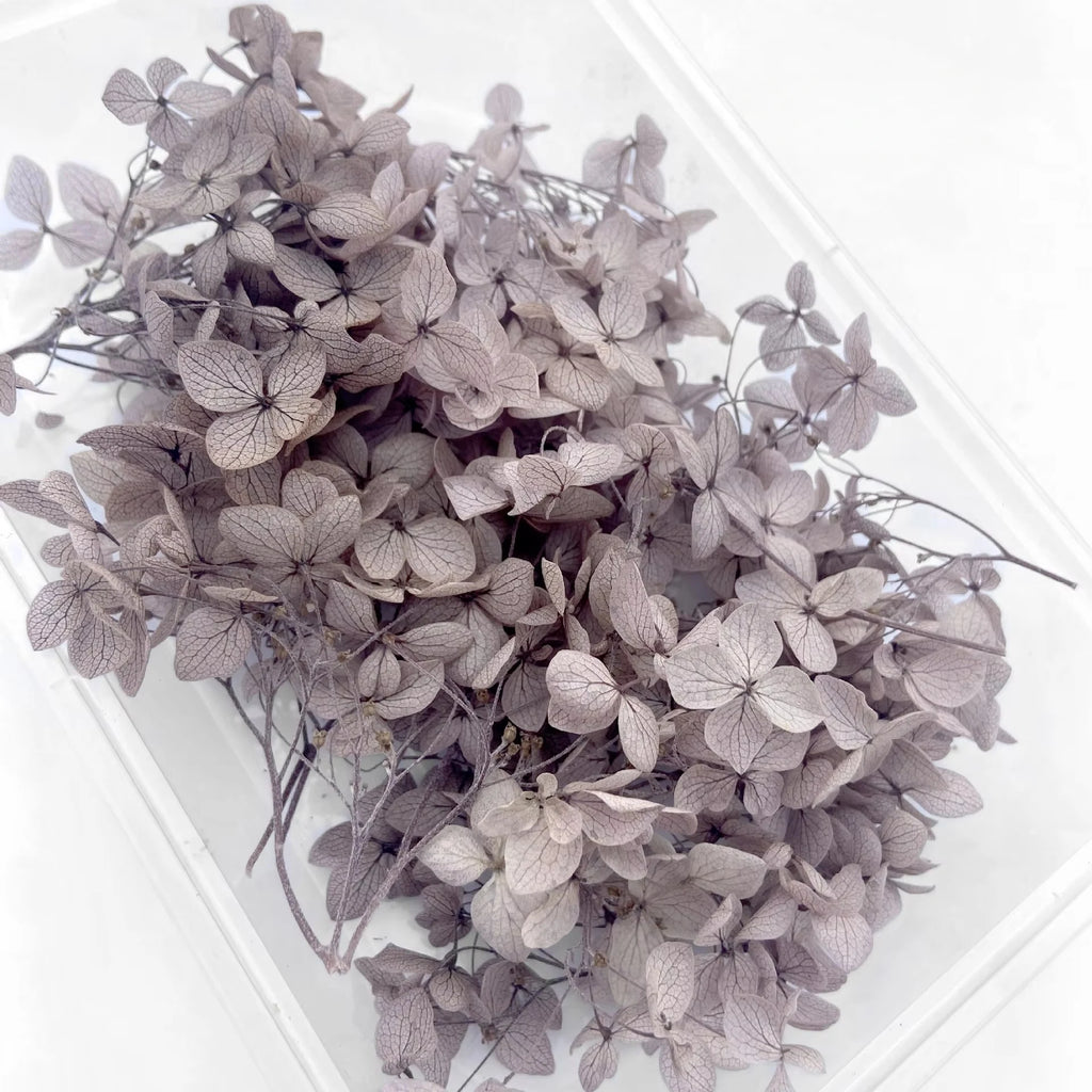 Handmade Preserved Flower Fan for Wedding DIY Wreath Mini Dried Flower Bouquet Artificial Hydrangea Dry Flowers Wall Backdrop