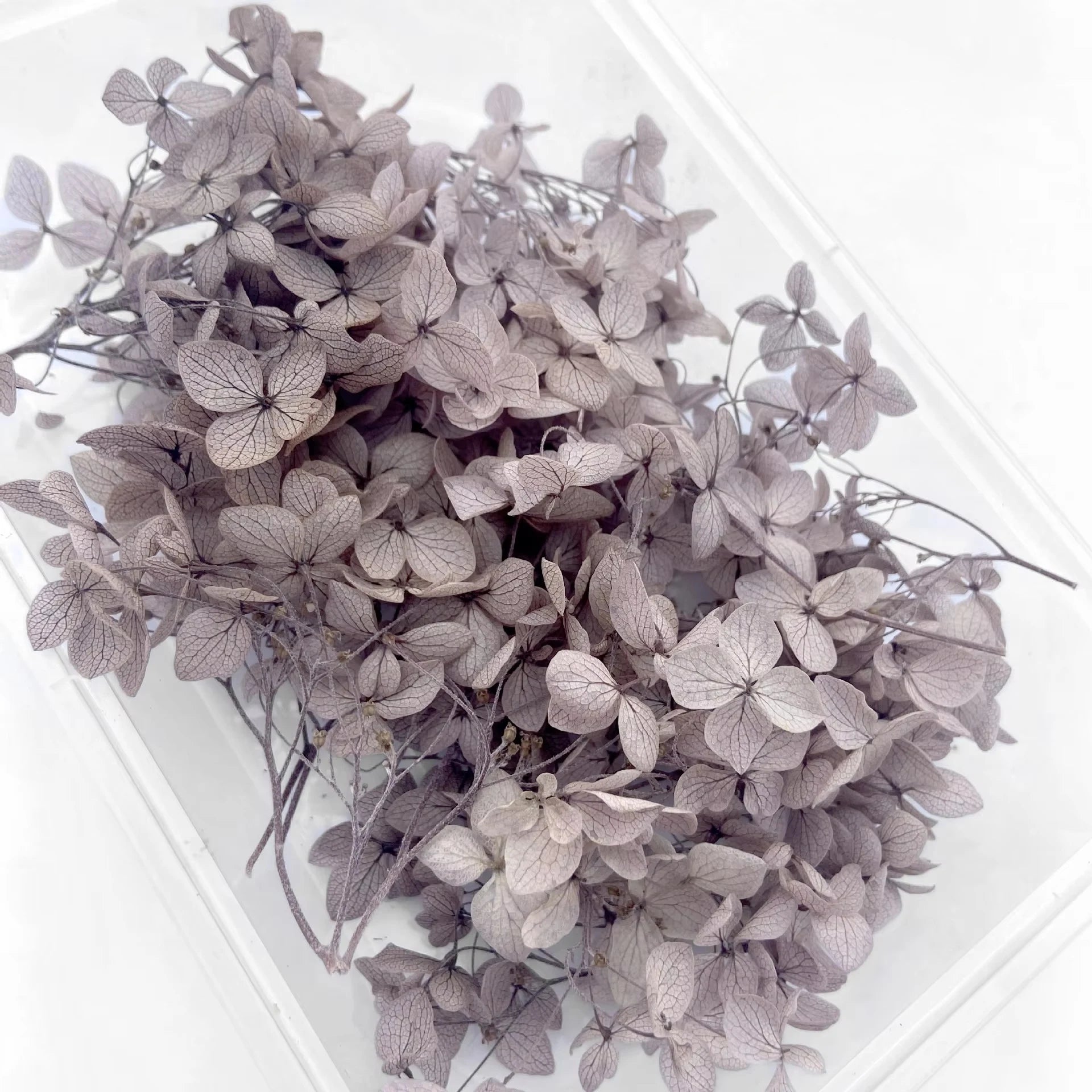 Handmade Preserved Flower Fan for Wedding DIY Wreath Mini Dried Flower Bouquet Artificial Hydrangea Dry Flowers Wall Backdrop