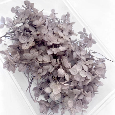 Handmade Preserved Flower Fan for Wedding DIY Wreath Mini Dried Flower Bouquet Artificial Hydrangea Dry Flowers Wall Backdrop