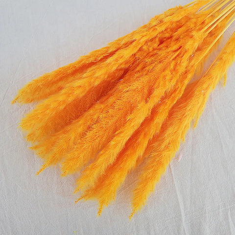 Reeds Dried Pampas Grass Artificial Flowers Bouquet Various Colors Home Boho Wedding Decoration Arrangement 3d White Flower Wall