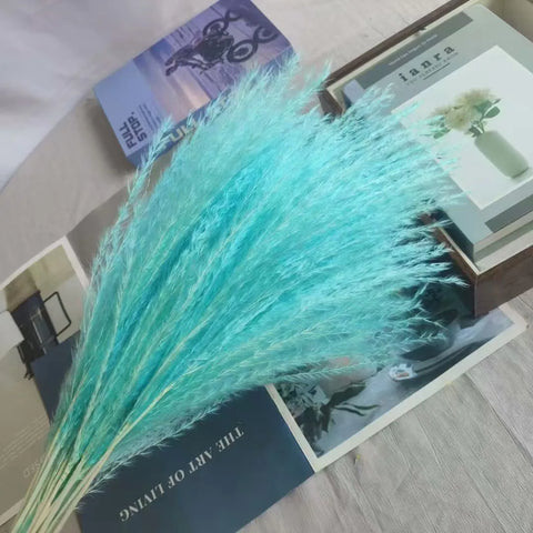 Best-Selling Bohemian Dried Pampas Reed Flowers Mother's Day Graduation Christmas Wedding Valentine's Day Home Decoration Fluffy