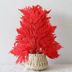 Genuine White Ferns Are Stably Preserved DIY Handicrafts Weddings Home Decorations Dried Flower Plants Mother's Day Graduation