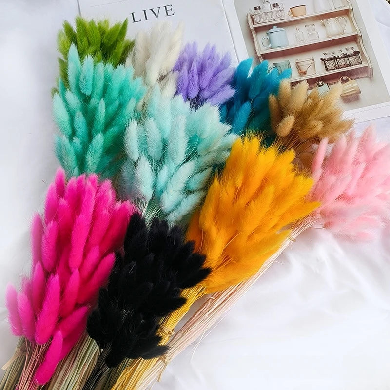 Halloween Decorative Flowers Rabbit Tail Grass & Immortal Flowers Dried Dog Tail Grass Shooting Props Main image