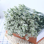 Preserved Crystal Grass Baby's Breath Dried Flowers for Home Arrangement & Wedding DIY Bouquet Baby Breath Flower Artificial