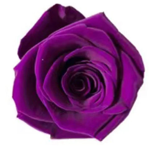 Forever Roses Preserved Flower Heads 6 Pieces DIY Gift Making Materials Wedding Centerpieces Flower Decorations Items