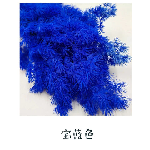 Wholesale DIY Preserved Pine Materials Cedar Preserved Flowers & Plants for Floral Ornaments Decoration Dried Flowers & Plants