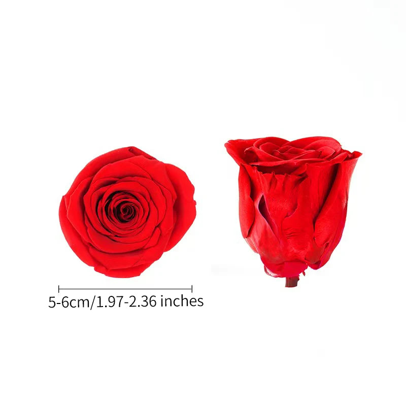 Forever Roses Preserved Flower Heads 6 Pieces DIY Gift Making Materials Wedding Centerpieces Flower Decorations Items