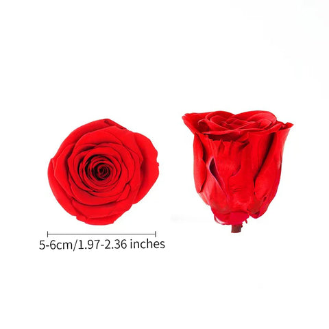 Forever Roses Preserved Flower Heads 6 Pieces DIY Gift Making Materials Wedding Centerpieces Flower Decorations Items