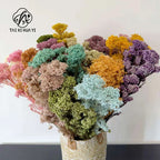 Preserved Rice Flower Dried Flower Aromatherapy Floating Flower Photography Props DIY Flower Wholesale Christmas Thanksgiving