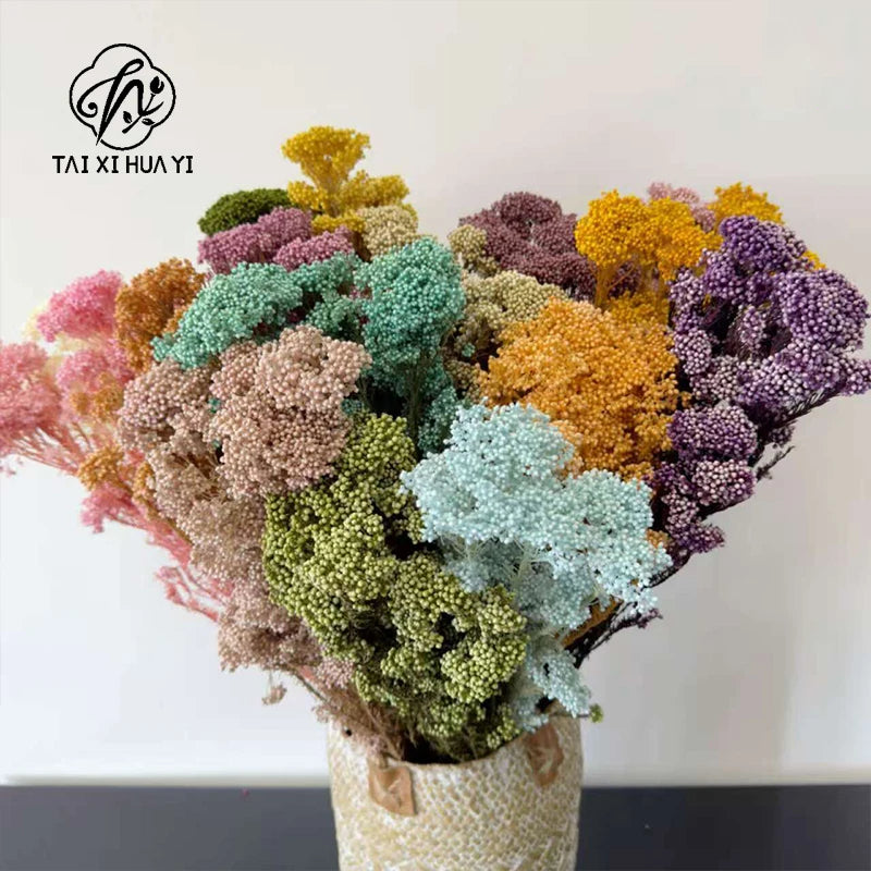 Preserved Rice Flower Dried Flower Aromatherapy Floating Flower Photography Props DIY Flower Wholesale Christmas Thanksgiving