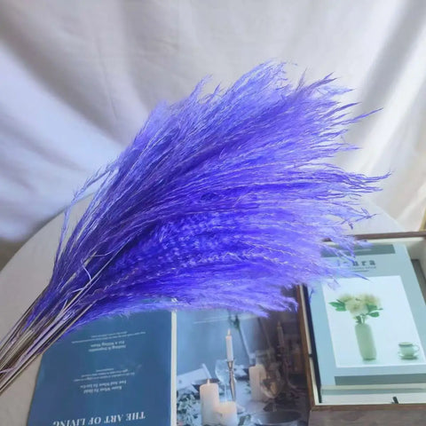 Best-Selling Bohemian Dried Pampas Reed Flowers Mother's Day Graduation Christmas Wedding Valentine's Day Home Decoration Fluffy