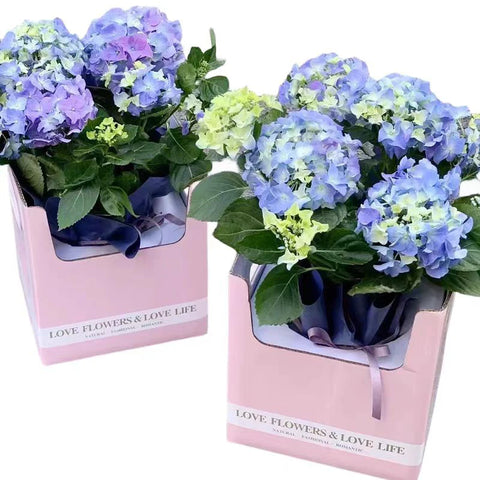 Unique Square Folded Flower Gift Box Bonsai Pot Holder for Flower Shop Paper Wrap Material