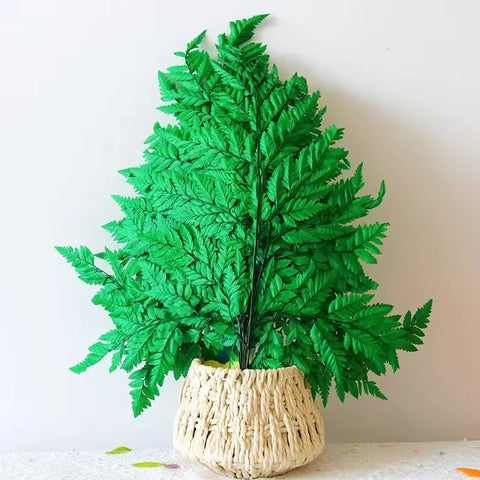 Genuine White Ferns Are Stably Preserved DIY Handicrafts Weddings Home Decorations Dried Flower Plants Mother's Day Graduation