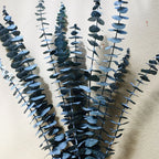 A-grade Preserved Eucalyptus Leaf Dried Flowers Immortal Bouquet Decorative Copper Coin Leaves for Graduation Valentine's Day