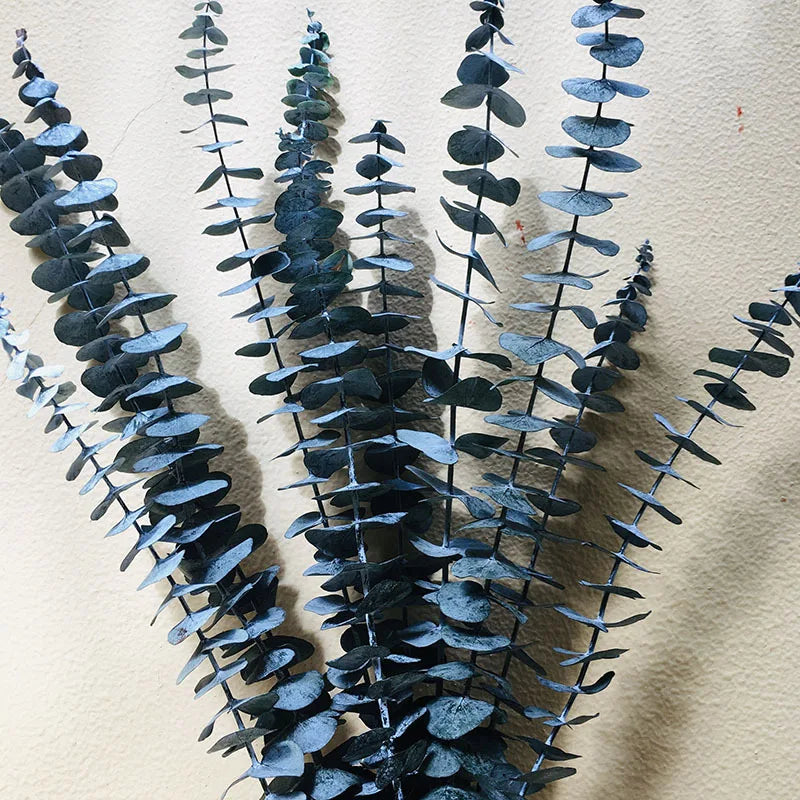 A-grade Preserved Eucalyptus Leaf Dried Flowers Immortal Bouquet Decorative Copper Coin Leaves for Graduation Valentine's Day
