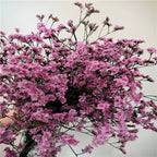 Preserved Crystal Grass Baby's Breath Dried Flowers for Home Arrangement & Wedding DIY Bouquet Baby Breath Flower Artificial