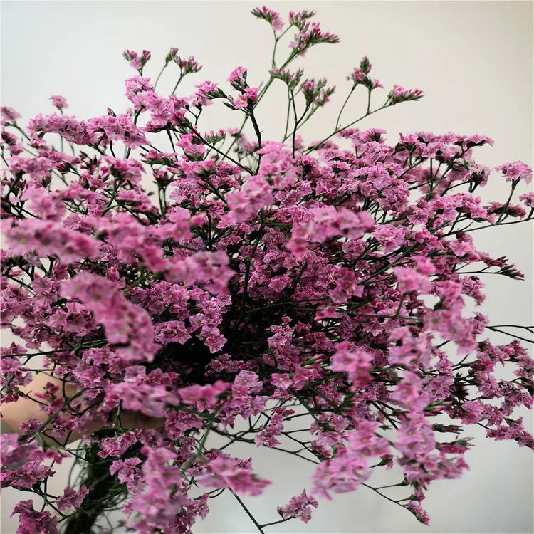 Preserved Crystal Grass Baby's Breath Dried Flowers for Home Arrangement & Wedding DIY Bouquet Baby Breath Flower Artificial