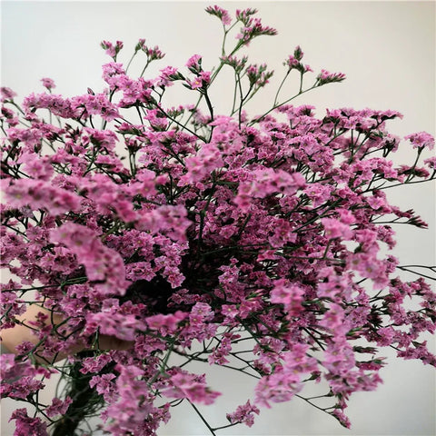 Preserved Crystal Grass Baby's Breath Dried Flowers for Home Arrangement & Wedding DIY Bouquet Baby Breath Flower Artificial