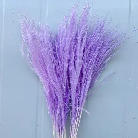 Best-Selling Bohemian Dried Pampas Reed Flowers Mother's Day Graduation Christmas Wedding Valentine's Day Home Decoration Fluffy
