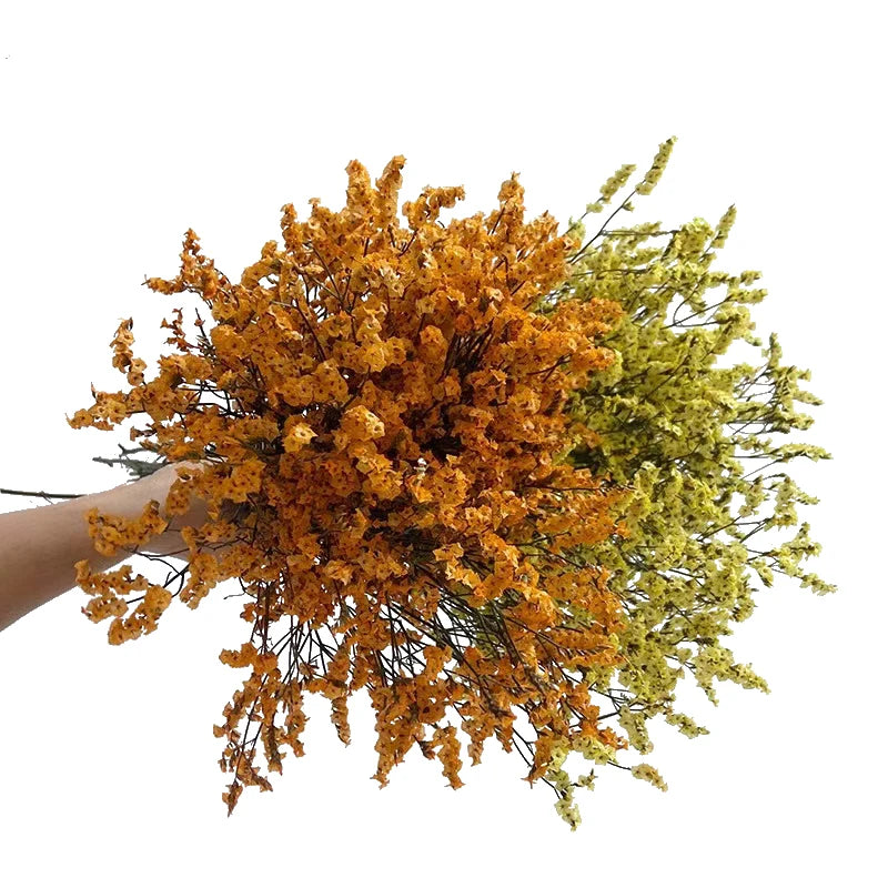 Preserved Crystal Grass Baby's Breath Dried Flowers for Home Arrangement & Wedding DIY Bouquet Baby Breath Flower Artificial