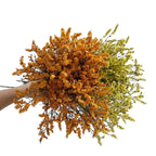 Preserved Crystal Grass Baby's Breath Dried Flowers for Home Arrangement & Wedding DIY Bouquet Baby Breath Flower Artificial