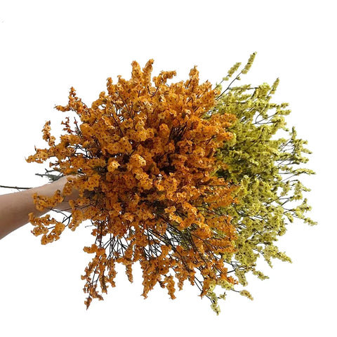 Preserved Crystal Grass Baby's Breath Dried Flowers for Home Arrangement & Wedding DIY Bouquet Baby Breath Flower Artificial