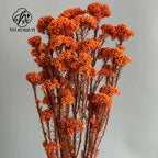 Preserved Rice Flower Dried Flower Aromatherapy Floating Flower Photography Props DIY Flower Wholesale Christmas Thanksgiving