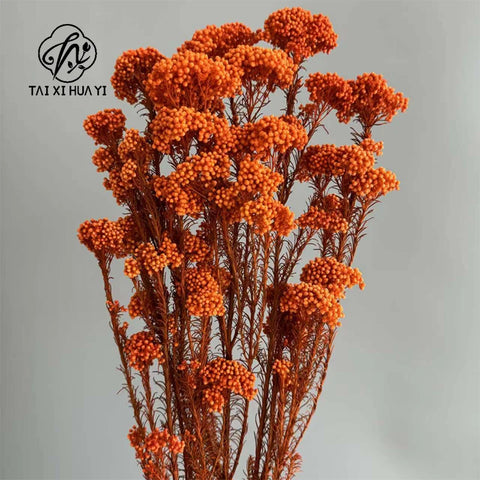Preserved Rice Flower Dried Flower Aromatherapy Floating Flower Photography Props DIY Flower Wholesale Christmas Thanksgiving