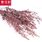 Fine-leaf Preserved Eucalyptus Leaf Dried Flower Bouquet Wreath DIY Material Wedding Decoration