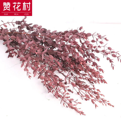Fine-leaf Preserved Eucalyptus Leaf Dried Flower Bouquet Wreath DIY Material Wedding Decoration