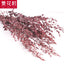 Fine-leaf Preserved Eucalyptus Leaf Dried Flower Bouquet Wreath DIY Material Wedding Decoration