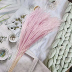 Best-Selling Bohemian Dried Pampas Reed Flowers Mother's Day Graduation Christmas Wedding Valentine's Day Home Decoration Fluffy