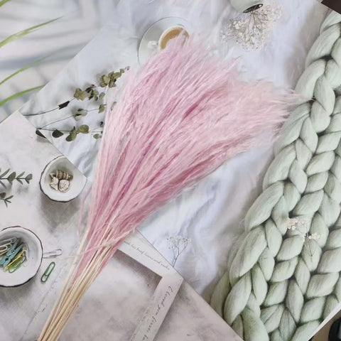Best-Selling Bohemian Dried Pampas Reed Flowers Mother's Day Graduation Christmas Wedding Valentine's Day Home Decoration Fluffy