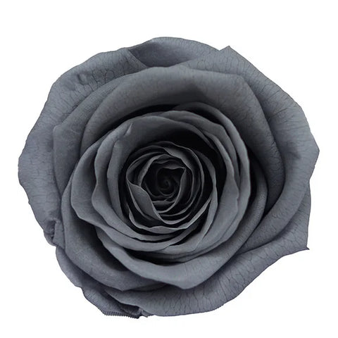 Forever Roses Preserved Flower Heads 6 Pieces DIY Gift Making Materials Wedding Centerpieces Flower Decorations Items