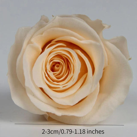 Hot Selling DIY Handmade Preserved Roses Realistic Dried Flower Gift Box Materials for Mother's Day Wedding Valentine's Day Gift
