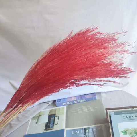 Best-Selling Bohemian Dried Pampas Reed Flowers Mother's Day Graduation Christmas Wedding Valentine's Day Home Decoration Fluffy