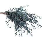 Fine-leaf Preserved Eucalyptus Leaf Dried Flower Bouquet Wreath DIY Material Wedding Decoration
