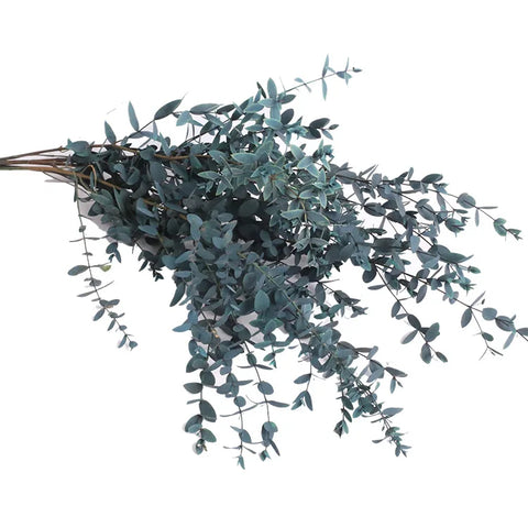 Fine-leaf Preserved Eucalyptus Leaf Dried Flower Bouquet Wreath DIY Material Wedding Decoration