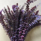 A-grade Preserved Eucalyptus Leaf Dried Flowers Immortal Bouquet Decorative Copper Coin Leaves for Graduation Valentine's Day