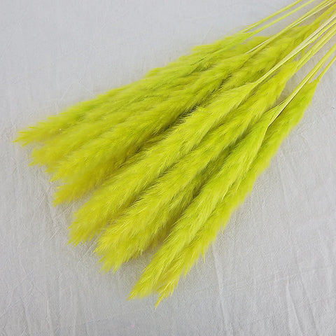 Reeds Dried Pampas Grass Artificial Flowers Bouquet Various Colors Home Boho Wedding Decoration Arrangement 3d White Flower Wall