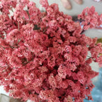 Preserved Crystal Grass Baby's Breath Dried Flowers for Home Arrangement & Wedding DIY Bouquet Baby Breath Flower Artificial