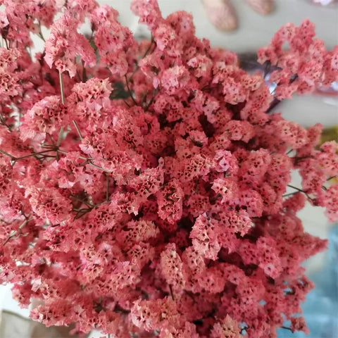 Preserved Crystal Grass Baby's Breath Dried Flowers for Home Arrangement & Wedding DIY Bouquet Baby Breath Flower Artificial
