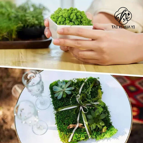 Everlasting DIY Decorative Antler Moss Micro Landscape Multiple Colors for Wedding Christmas Embellishment Decorative Green