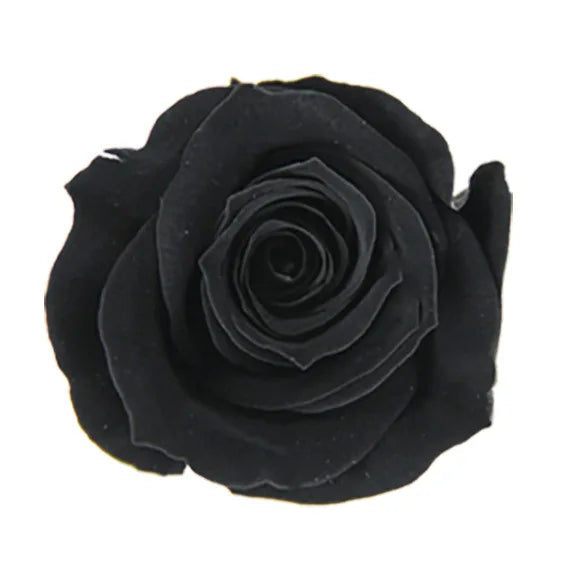 Forever Roses Preserved Flower Heads 6 Pieces DIY Gift Making Materials Wedding Centerpieces Flower Decorations Items