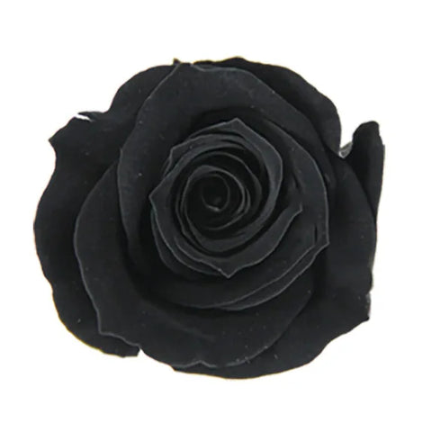 Forever Roses Preserved Flower Heads 6 Pieces DIY Gift Making Materials Wedding Centerpieces Flower Decorations Items