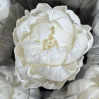 Tongcao Large Dried Peony Flower Home Decoration Preserved Artificial Red Flower Ball Arrangement Centerpieces Bunches